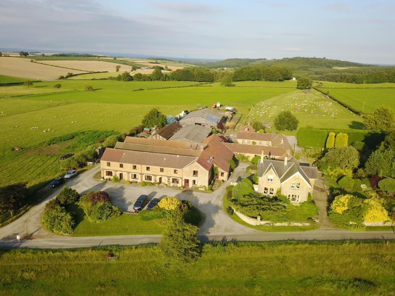 Phlomis Villa York Exterior photo